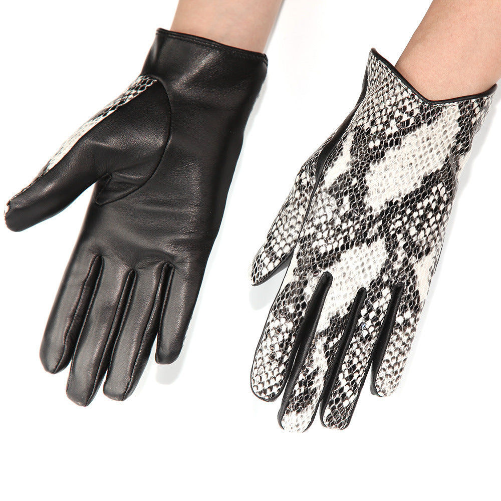 Imported Lambskin Gloves