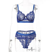 Women's Solid Color Lace Push Up Lingerie Set