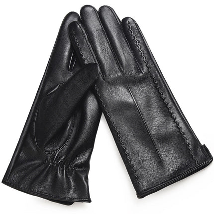 Women's Autumn And Winter Fleece-lined Warm Gloves