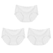 3Pcs Seamless Underwear Silk For Women Panties Lingerie Sexy